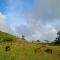Finca Jasmat