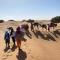 Desert Bivouac Mhamid