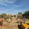 Desert Bivouac Mhamid