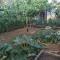 Guest House Attilia
