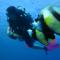 Dive Urge - Dahab