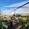 Homestead Bed and Breakfast - Travel Addo Group