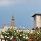 B&B Isola dArno