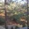 Platres Mountain Cottage