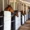 Hill Rise Luxury Villa & Stables by Edwards Collection