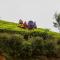 Hill Rise Luxury Villa & Stables by Edwards Collection