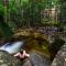 Daintree Cascades - Cape Tribulation