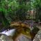 Daintree Cascades - Cape Tribulation