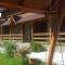 Guest House in Carpathians - Migovo