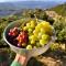 RASTONI Pelion