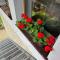 Apartmány Vejminek