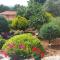 Apartments Lucija