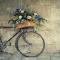 Foto: Bicycle Belgrade Hostel 1/72