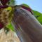 Heritage Villas north Cyprus