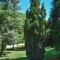 Villa ORKA Pelister - Forest Zone