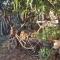 Stunning view-Maleni