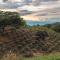 Casa Laureles