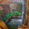 Lost Iguana Resort and Spa