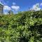 Vivs Place- Pet friendly- 1 min walk to Shaws Creek