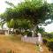 Cindys Garden Stay