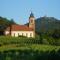 Au Coeur Du Vignoble photo 17