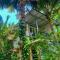 Lakefront Beach Homes