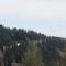 Studio spacieux rénové 35 m², balcon sud, animaux acceptés, Chamrousse 1650 - FR-1-340-132