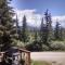 Denalis Alaskan Spruce Cabins
