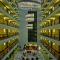 Maritim Hotel Dresden