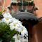 Albergo Valentina