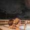 Palace Luxury Wellness Apartment and Boutique Hotel Ski-in-out
