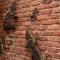 The Green Lizard Guesthouse