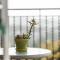 The Green Lizard Guesthouse