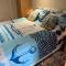 Cove Cott Guest Accommodation