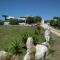 Da Silva Surfcamp