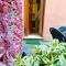 Il giardino segreto