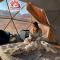 DESERT LUXURY CAMp & BUBBLES ROOM