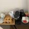 Ballina B&B