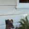 Illalangi Boutique Cottage