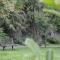 La Belle Meuniere photo 8
