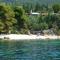 Apartment Zeus with private pool and sea view