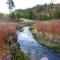 Enchanting Cabin Rental near Colorado Springs, Colorado