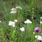 Enchanting Cabin Rental near Colorado Springs, Colorado