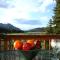 Impressive Cabin Rental with Views of Pike National Forest near Colorado Springs, Colorado