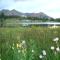Impressive Cabin Rental with Views of Pike National Forest near Colorado Springs, Colorado