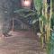 Brooklyn Guesthouses