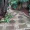 Brooklyn Guesthouses