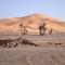 Riad Aicha & Camel Trekking