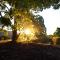 Clarendon Forest Retreat
