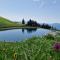 Apartment MOUNTAIN BLOOM Golte